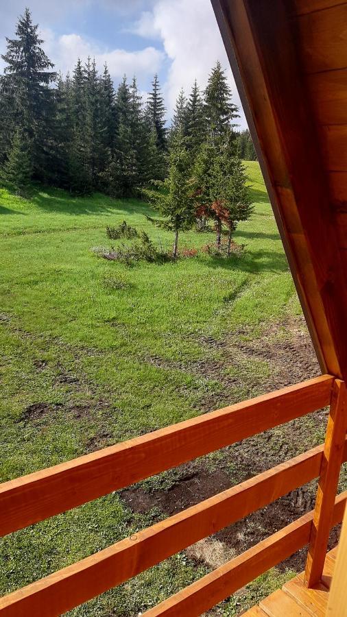 House Bojana Villa Zabljak  Bagian luar foto