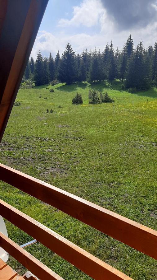 House Bojana Villa Zabljak  Bagian luar foto